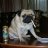 Matias_C
