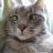 Tommas_Jordanov