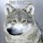 Artem_Rainow