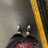 Petya_Reed
