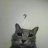 Dima_Whiter