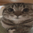 bUgi_