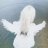 Andrey_REGE