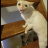 Demon_tv