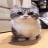 Pikaborr