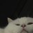 Agnessa_Verter