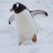 Ivan_Shalygin