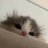 Valeriy_Fabiano