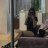 Haruma_suicide