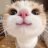 Andrey_Simon