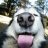 Tuchen_Gelfond