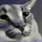 Jony_Winterstein