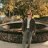 Sergey_Sandiego