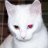 Mario_DeSanto