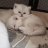 wonderfulls
