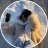 Anna_Kim