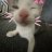 Alya Onlymiss