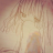 novembercoldlove