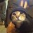 Henry_Gabbriel