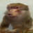 Roman_Kveyt
