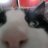 Sweetie_Marmalade