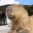 Dmitry_Providence