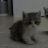 DANYA_CURSED