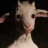 whetes