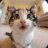 Artem_Tegir