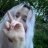 chatpix