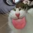 AliceJoy