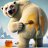 Tommy_Colletti