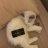 Dima_Miller