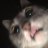 Andrew_Romanov